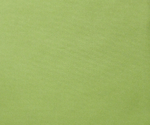 Garden Green Patio Sling Chair Fabric