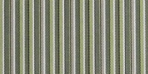 Kiwi_Stripe