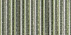 Kiwi_Stripe
